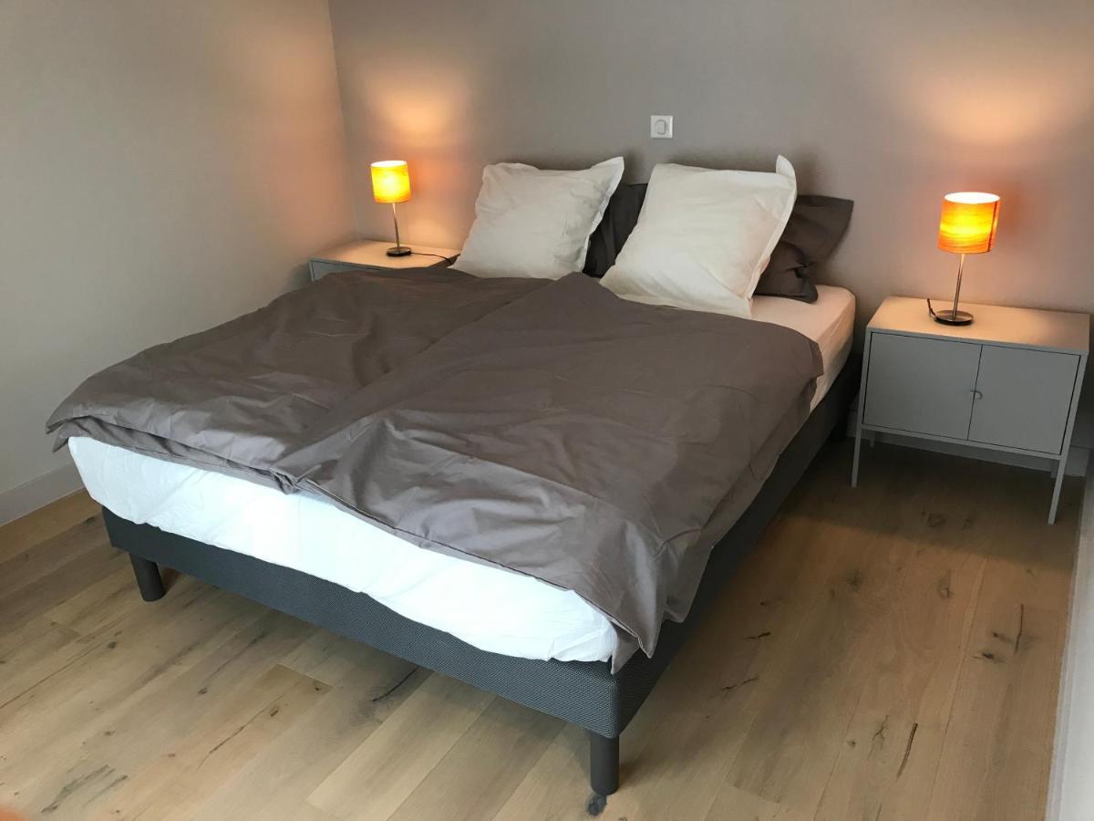 La Costiere Du Lac - Annecy - Vieille Ville, Plage, Garage المظهر الخارجي الصورة